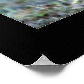 Roosevelt Elk Sparring Poster (Hoek)