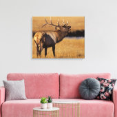 Roosevelt Eull Elk Wyoming Canvas Afdruk (Insitu (Woonkamer))