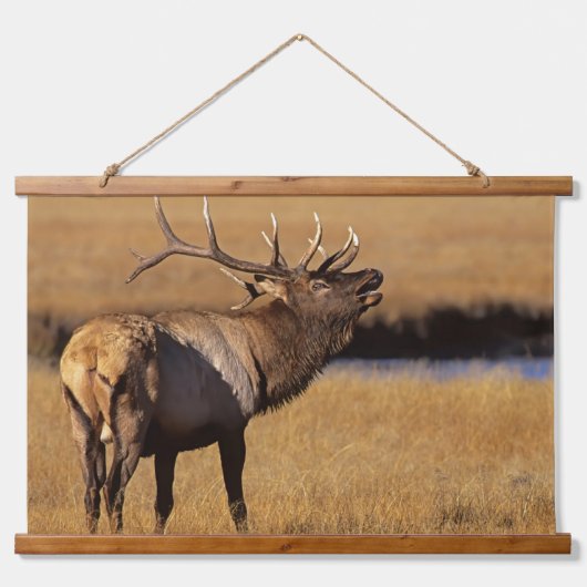 Roosevelt Eull Elk Wyoming Hangend Wandkleed (Voorkant)