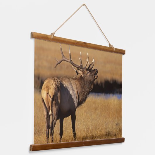 Roosevelt Eull Elk Wyoming Hangend Wandkleed (Gebogen)
