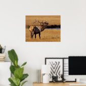 Roosevelt Eull Elk Wyoming Poster (Thuiskantoor)