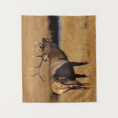 Roosevelt Eull Elk Wyoming Wandkleed (Voorkant)