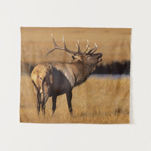 Roosevelt Eull Elk Wyoming Wandkleed