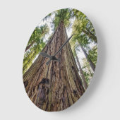 Roosevelt Grove Grote Klok (Hoek)