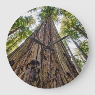 Roosevelt Grove Grote Klok