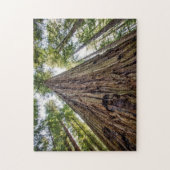 Roosevelt Grove Legpuzzel (Verticaal)