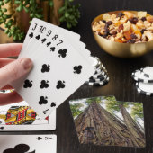 Roosevelt Grove Pokerkaarten (Insitu)