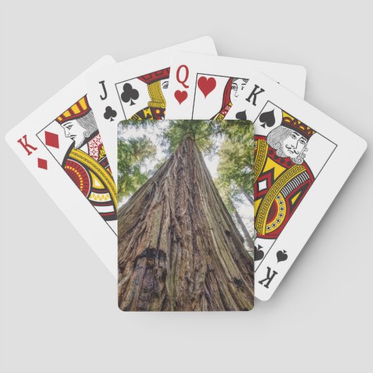 Roosevelt Grove Pokerkaarten (Achterkant)