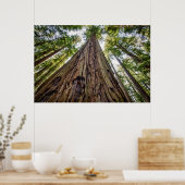 Roosevelt Grove Poster (Keuken)