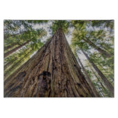 Roosevelt Grove Snijplank (Voorkant)