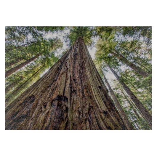 Roosevelt Grove Snijplank (Voorkant)