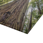 Roosevelt Grove Snijplank (Hoek)