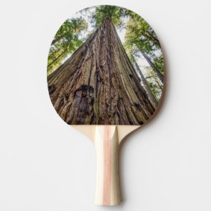Roosevelt Grove Tafeltennisbatje