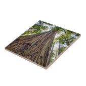 Roosevelt Grove Tegeltje (Zijkant)