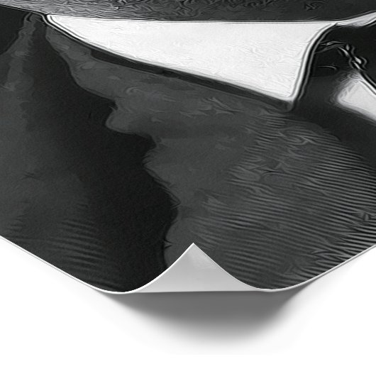 ROOSEVELT-MAN in ARENA SPEECH Poster (Hoek)