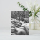 Roosevelt National Forest Stream Black and White Briefkaart (Staand voorkant)