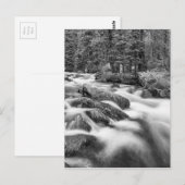 Roosevelt National Forest Stream Black and White Briefkaart (Voorkant / Achterkant)