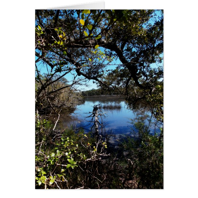 Roosevelt Trail bij het aquarium (Voorkant)