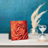 rooskleurig leven fotoplaat (Insitu)