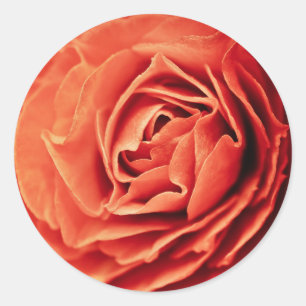 rooskleurig leven ronde sticker