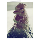  Rooster (Voorkant)