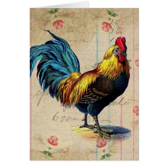  Rooster (Voorkant)