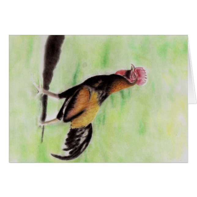 Rooster (Voorkant Horizontaal)