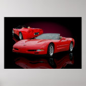 Rooster 2002 poster (Voorkant)