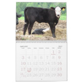 Rooster 2011 kalender (Jan 2027)