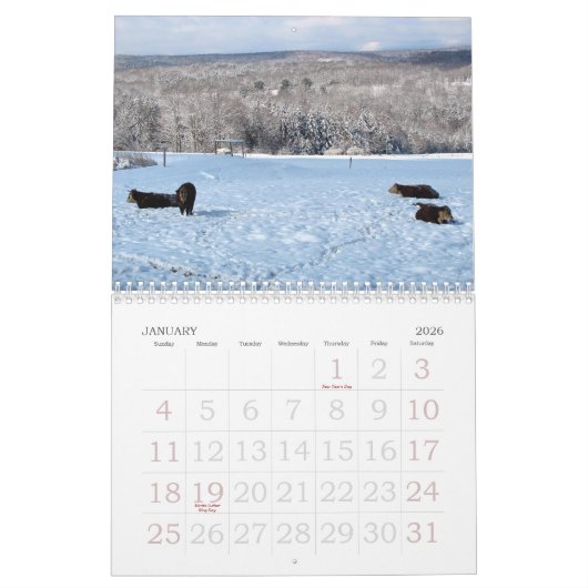 Rooster 2013 kalender (Jan 2026)