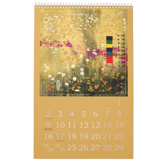 Rooster 2019 van de seizoensspreuk van de maatrege kalender (Mar 2026)