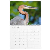 Rooster 2023 van foto's van verschillende vogels kalender (Mar 2026)
