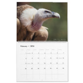Rooster 2023 van foto's van verschillende vogels kalender (Feb 2026)