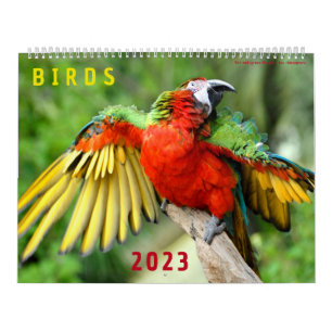Rooster 2023 van foto's van verschillende vogels kalender