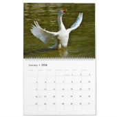 Rooster 2023 van foto's van verschillende vogels kalender (Jan 2026)