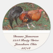 Rooster Adres Stickers (Voorkant)