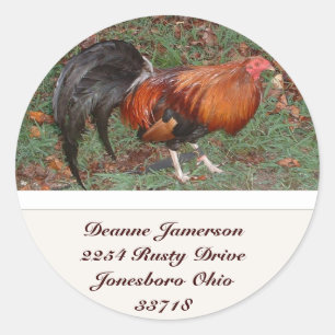 Rooster Adres Stickers