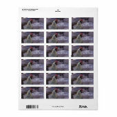 Rooster-Adresetiketten Etiket (Full Sheet)