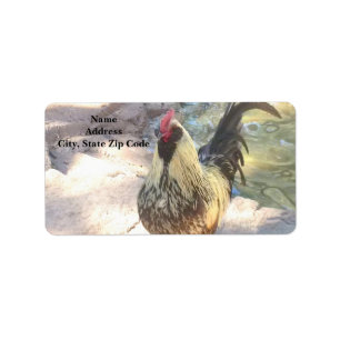 Rooster-Adresetiketten Etiket