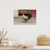 Rooster afdrukken poster (Keuken)