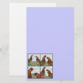 Rooster Bait Briefpapier (Voorkant / Achterkant)