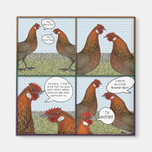 Rooster Bait Magneet (Voorkant)