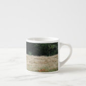 Rooster bij het Boerderij Foto door Sandy Closs. Espresso Kop (Rechts)