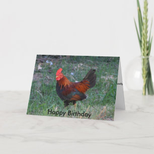 Rooster Birthday Card Kaart