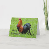 Rooster Birthday Kaart (Voorkant)
