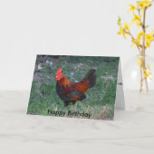 Rooster Birthday Kaart (Gele Bloem)