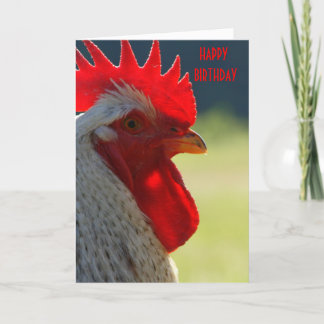 Rooster Birthday Kaart