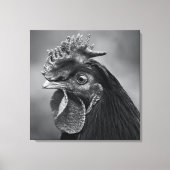 Rooster Black en White Canvas Afdruk (Voorkant)