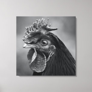 Rooster Black en White Canvas Afdruk