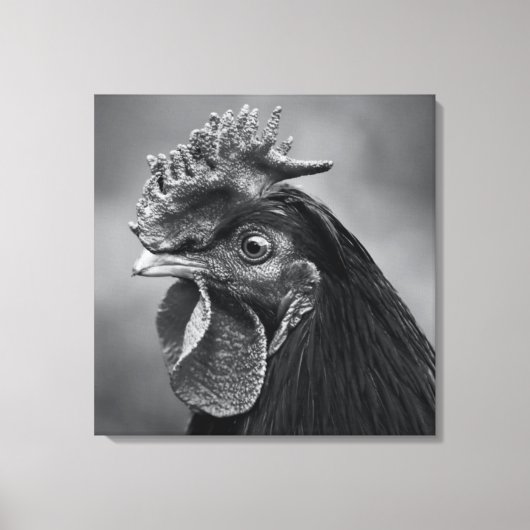Rooster Black en White Canvas Afdruk (Voorkant)